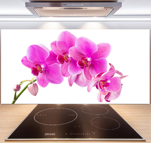 Panel do kuchyně Růžová orchidej