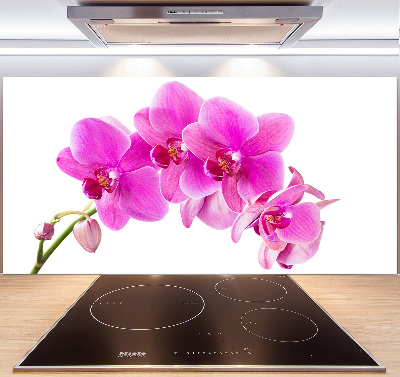 Panel do kuchyně Růžová orchidej