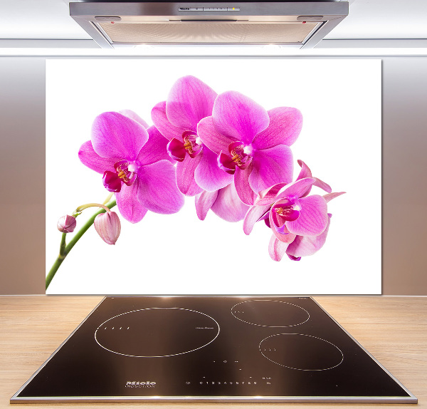 Panel do kuchyně Růžová orchidej