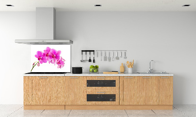 Panel do kuchyně Růžová orchidej