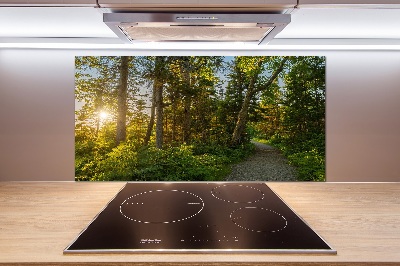 Panel tvrzené sklo do kuchyně Les