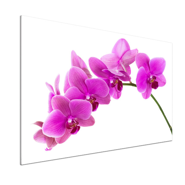 Panel do kuchyně Růžová orchidej