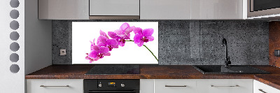 Panel do kuchyně Růžová orchidej
