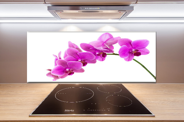 Panel do kuchyně Růžová orchidej