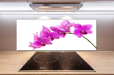 Panel do kuchyně Růžová orchidej