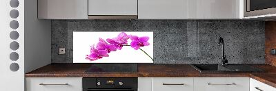 Panel do kuchyně Růžová orchidej