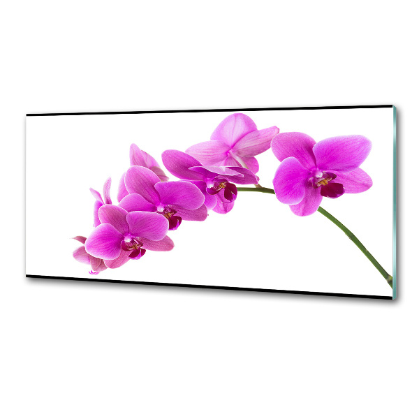 Panel do kuchyně Růžová orchidej