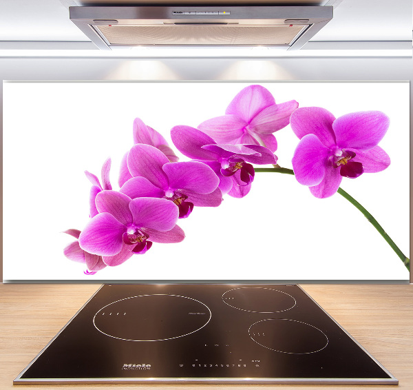 Panel do kuchyně Růžová orchidej