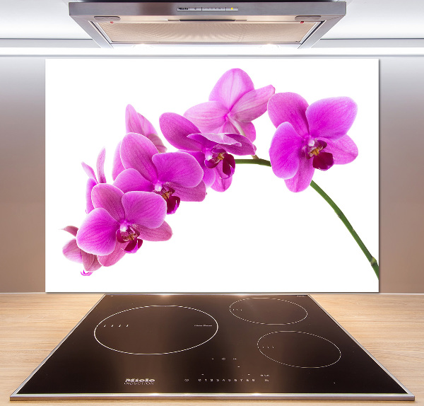 Panel do kuchyně Růžová orchidej