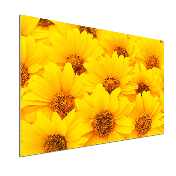 Dekorační panel sklo Slunečníky