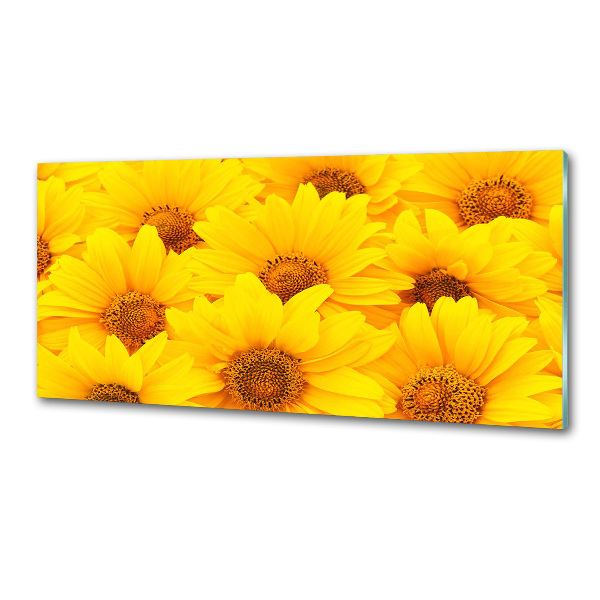 Dekorační panel sklo Slunečníky