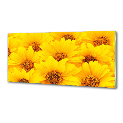Dekorační panel sklo Slunečníky