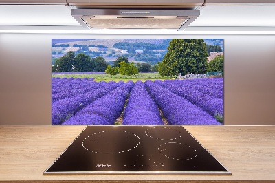 Dekorační panel sklo Pole levandule