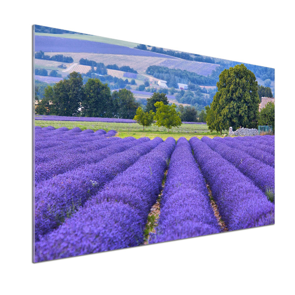 Dekorační panel sklo Pole levandule