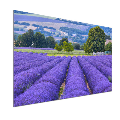Dekorační panel sklo Pole levandule