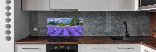 Dekorační panel sklo Pole levandule