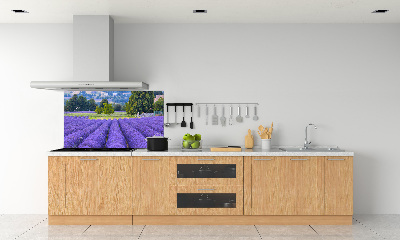 Dekorační panel sklo Pole levandule