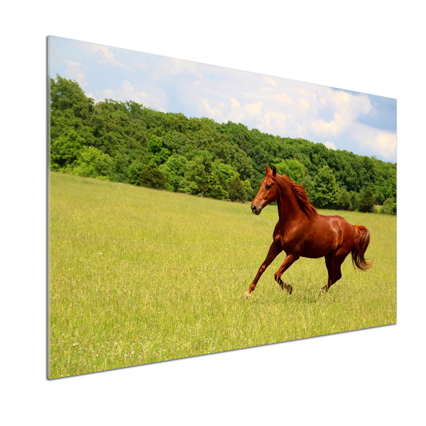 Dekorační panel sklo Kůň na louce