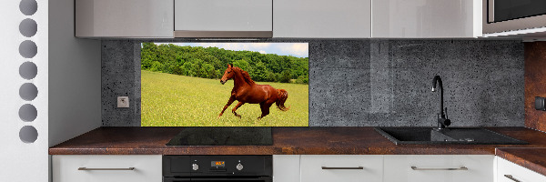 Dekorační panel sklo Kůň na louce