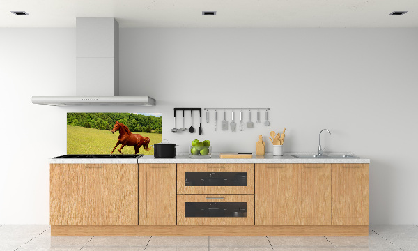 Dekorační panel sklo Kůň na louce