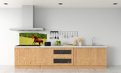 Dekorační panel sklo Kůň na louce