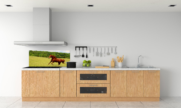 Dekorační panel sklo Kůň na louce