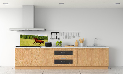Dekorační panel sklo Kůň na louce