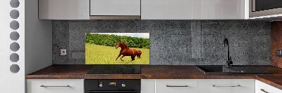 Dekorační panel sklo Kůň na louce