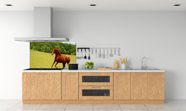 Dekorační panel sklo Kůň na louce