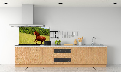 Dekorační panel sklo Kůň na louce