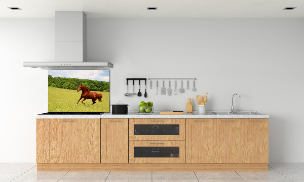 Dekorační panel sklo Kůň na louce