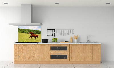 Dekorační panel sklo Kůň na louce