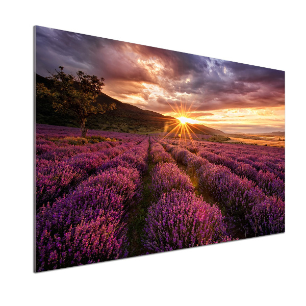 Dekorační panel sklo Pole levandule