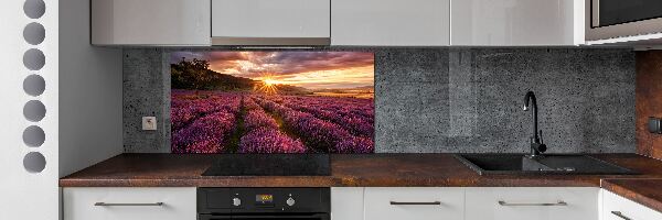 Dekorační panel sklo Pole levandule