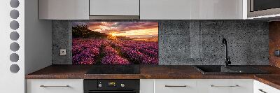 Dekorační panel sklo Pole levandule