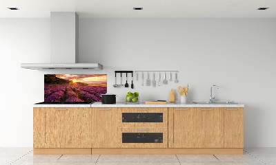 Dekorační panel sklo Pole levandule