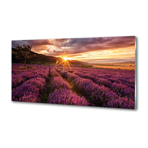 Dekorační panel sklo Pole levandule