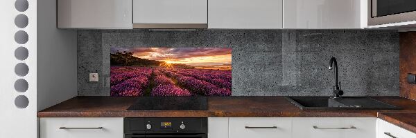 Dekorační panel sklo Pole levandule