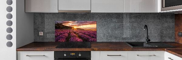 Dekorační panel sklo Pole levandule