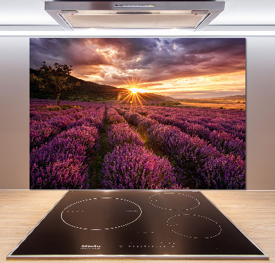 Dekorační panel sklo Pole levandule