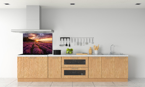 Dekorační panel sklo Pole levandule