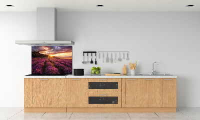 Dekorační panel sklo Pole levandule