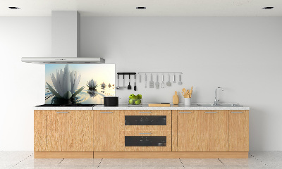 Dekorační panel sklo Květ lotosu