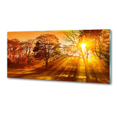 Panel do kuchyně Západ slunce
