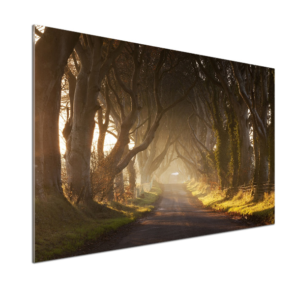Dekorační panel sklo Mlha v lese