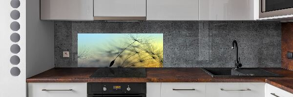 Panel do kuchyně Semeno pampelišky