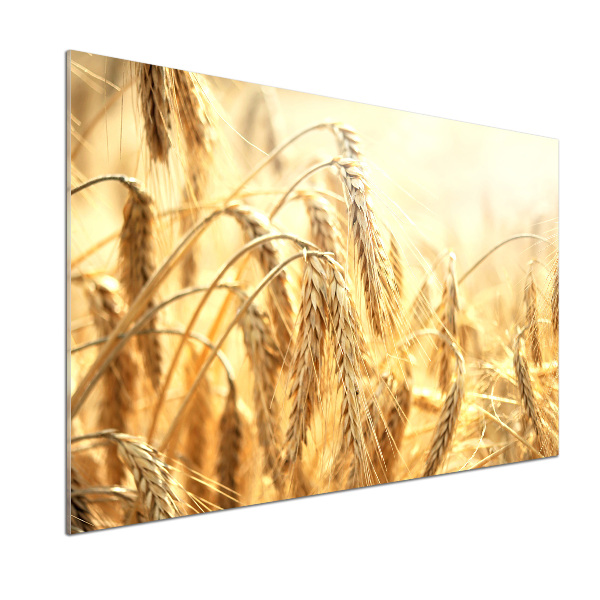 Skleněný panel do kuchyně Zboží