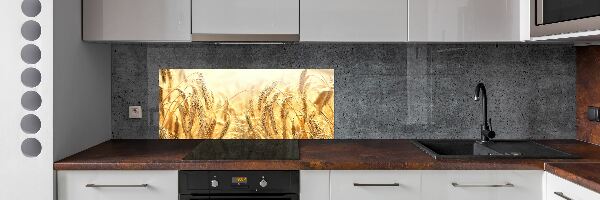 Skleněný panel do kuchyně Zboží
