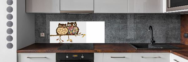 Panel lacobel Dvě sovy na větvi