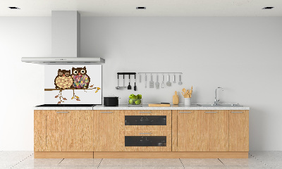 Panel lacobel Dvě sovy na větvi